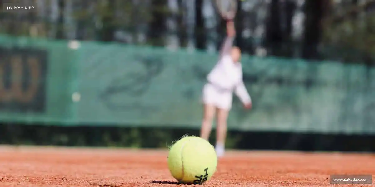 壹号娱乐——🏄♀️🌊浪尖起舞，勇者无惧！